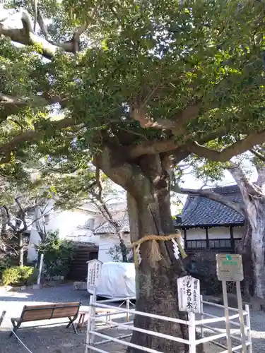 生根神社(大阪府)