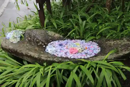 開成山大神宮の手水