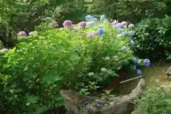 三春駒神社の庭園