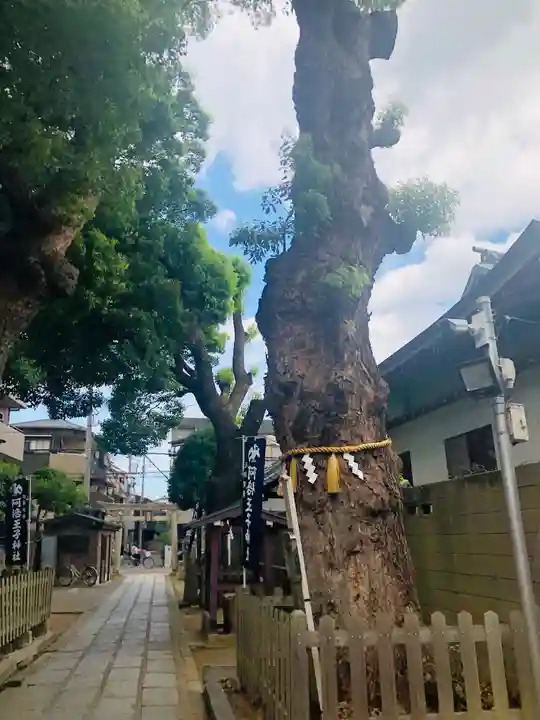 阿倍王子神社(大阪府)
