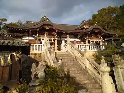 鶴崎神社の本殿・本堂