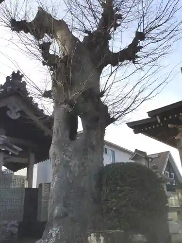 秋葉神社(東京都)