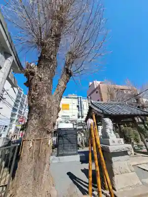柏神社(千葉県)