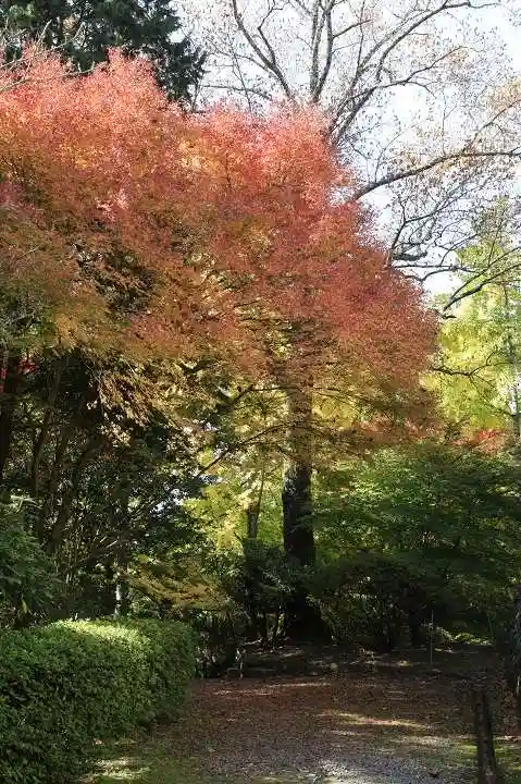 播州清水寺の自然
