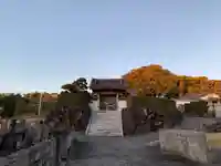 顕本寺(千葉県)