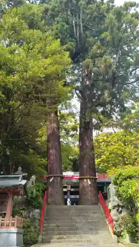 八幡朝見神社(大分県)