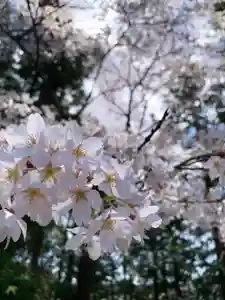 滑川神社 - 仕事と子どもの守り神(福島県)(2026年04月11日(土) 14時06分52秒投稿)