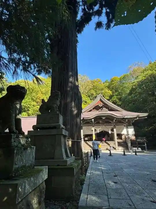 戸隠神社中社(長野県)