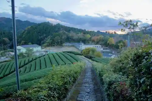 安積親王陵墓の景色