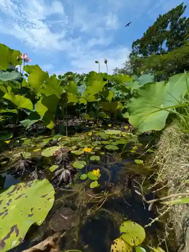 岩井八坂神社(茨城県)