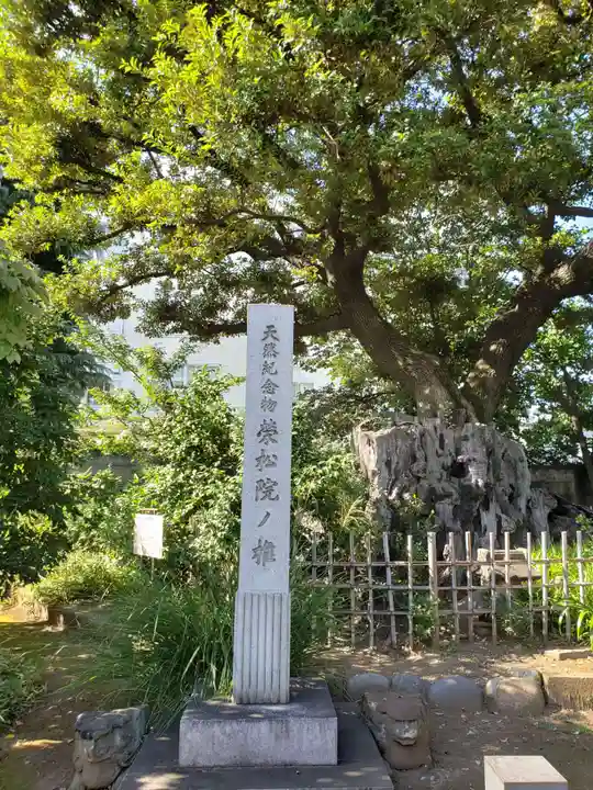 栄松院(東京都)