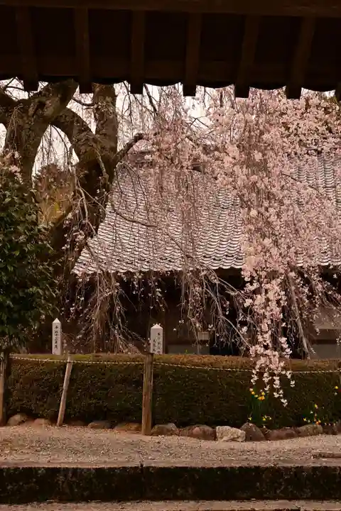法蓮寺(愛媛県)