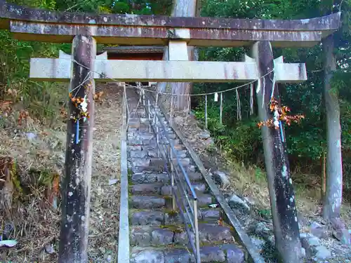 津島神社の鳥居