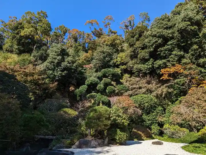 報国寺(神奈川県)