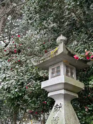 美濃國一宮　南宮大社の{uncategorized: "未分類", other: "その他", undefined: "問題あり", building: "その他建物", grave: "お墓", sacred_gate: "鳥居", guardian: "狛犬", statue: "像", buddha: "仏像", history: "歴史", nature: "自然", garden: "庭園", animal: "動物", pagoda: "塔", temizu: "手水舎", mountain_gate: "山門・神門", sanctuary: "本殿・本堂", subordinate: "末社・摂社", art: "芸術", scenery: "景色", jizo: "地蔵", ema: "絵馬", goshuin: "御朱印", omikuji: "おみくじ", items: "授与品その他", amulet: "お守り", goshuincho: "御朱印帳", eats: "食事", festival: "お祭り", votive_dance: "神楽", shichigosan: "七五三参", wedding: "結婚式", experience: "体験その他", initially: "初詣", around: "周辺", anti_infection: "感染症対策"}