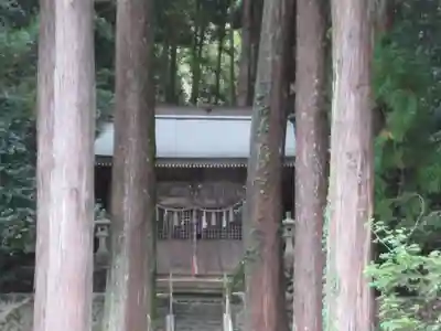高尾神社(東京都)