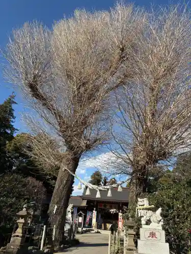 亀ケ池八幡宮の{uncategorized: "未分類", other: "その他", undefined: "問題あり", building: "その他建物", grave: "お墓", sacred_gate: "鳥居", guardian: "狛犬", statue: "像", buddha: "仏像", history: "歴史", nature: "自然", garden: "庭園", animal: "動物", pagoda: "塔", temizu: "手水舎", mountain_gate: "山門・神門", sanctuary: "本殿・本堂", subordinate: "末社・摂社", art: "芸術", scenery: "景色", jizo: "地蔵", ema: "絵馬", goshuin: "御朱印", omikuji: "おみくじ", items: "授与品その他", amulet: "お守り", goshuincho: "御朱印帳", eats: "食事", festival: "お祭り", votive_dance: "神楽", shichigosan: "七五三参", wedding: "結婚式", experience: "体験その他", initially: "初詣", around: "周辺", anti_infection: "感染症対策"}