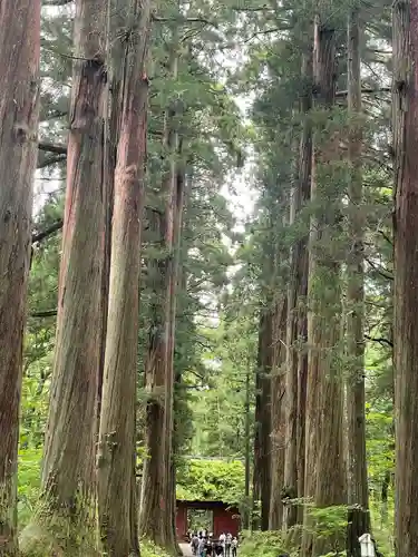 戸隠神社九頭龍社(長野県)