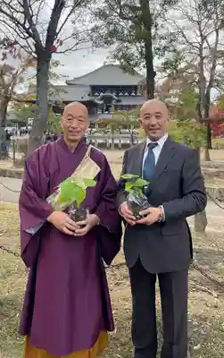 牟禮山観音禅寺(滋賀県)