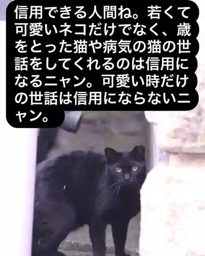 専念寺(大阪府)