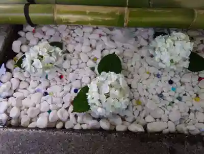 豊平神社の手水舎