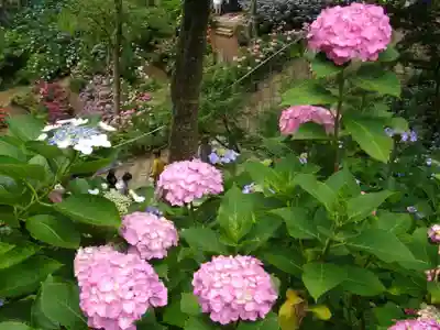 二本松寺の景色