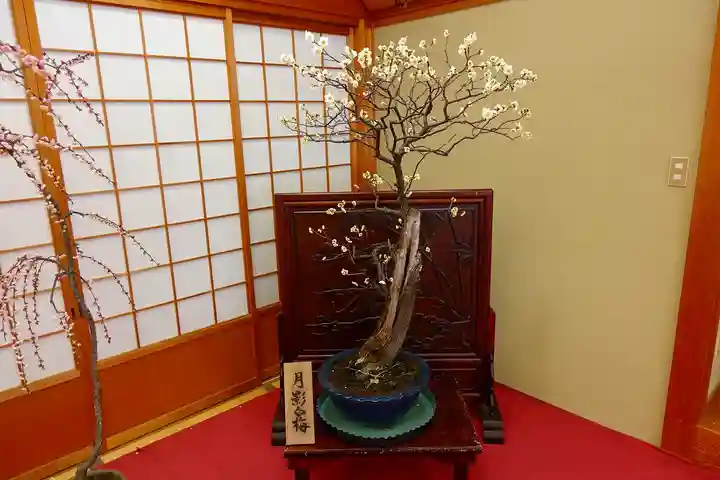 菅原天満宮(菅原神社)の自然