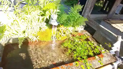 出雲大神宮の手水舎