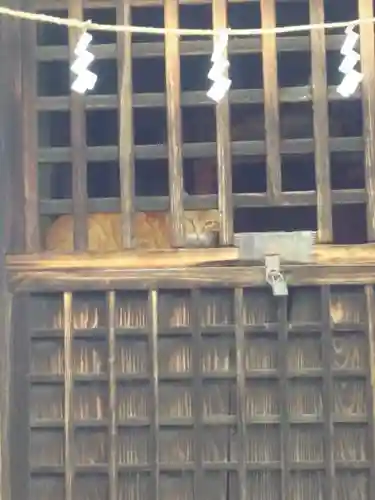 三芳野稲荷神社の動物