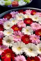 鹿島台神社(宮城県)