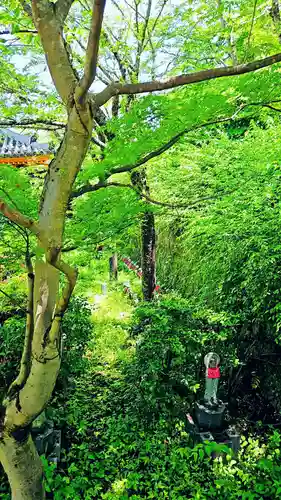 南法華寺（壷阪寺）(奈良県)