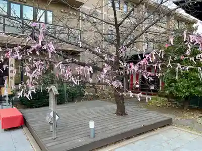 桜神宮(東京都)