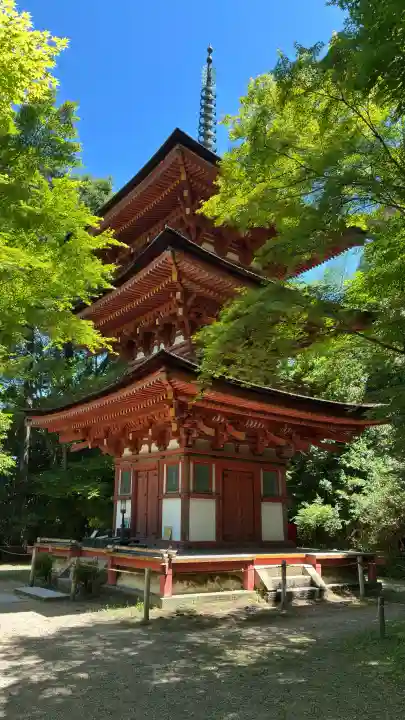 浄瑠璃寺の{uncategorized: "未分類", other: "その他", undefined: "問題あり", building: "その他建物", grave: "お墓", sacred_gate: "鳥居", guardian: "狛犬", statue: "像", buddha: "仏像", history: "歴史", nature: "自然", garden: "庭園", animal: "動物", pagoda: "塔", temizu: "手水舎", mountain_gate: "山門・神門", sanctuary: "本殿・本堂", subordinate: "末社・摂社", art: "芸術", scenery: "景色", jizo: "地蔵", ema: "絵馬", goshuin: "御朱印", omikuji: "おみくじ", items: "授与品その他", amulet: "お守り", goshuincho: "御朱印帳", eats: "食事", festival: "お祭り", votive_dance: "神楽", shichigosan: "七五三参", wedding: "結婚式", experience: "体験その他", initially: "初詣", around: "周辺", anti_infection: "感染症対策"}
