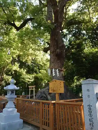 和泉國一之宮　大鳥大社の自然