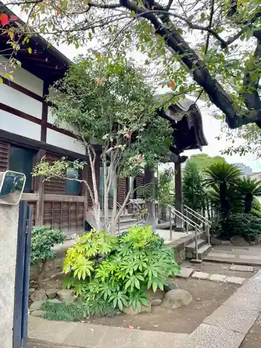 常行寺（常行三昧寺）(東京都)