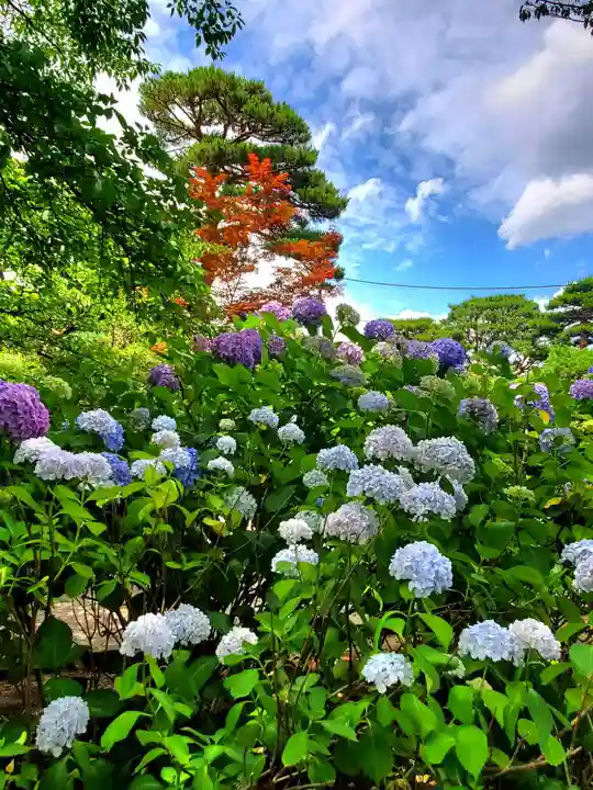 開成山大神宮(福島県)