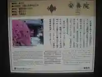 安養院 (田代寺)の歴史