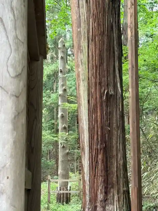 諏訪大社下社春宮(長野県)