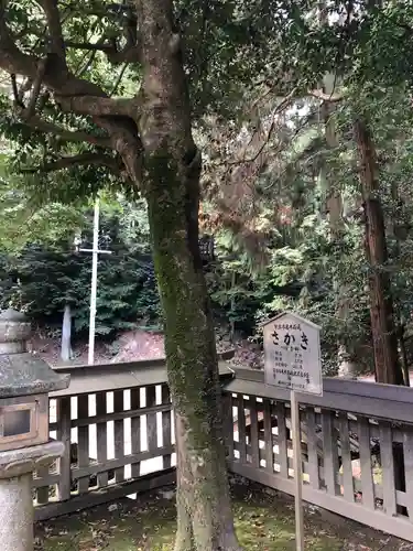 清瀧宮(東笠取清瀧宮)の自然