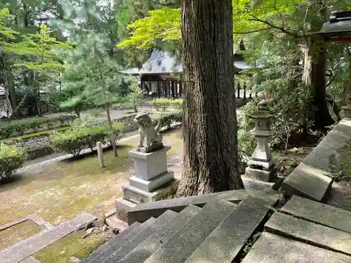 豊栄神社の狛犬