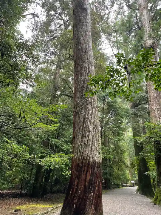 瀧原宮(皇大神宮別宮)(三重県)