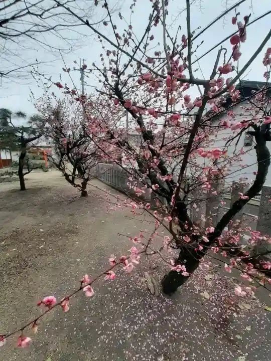 志貴縣主神社の{uncategorized: "未分類", other: "その他", undefined: "問題あり", building: "その他建物", grave: "お墓", sacred_gate: "鳥居", guardian: "狛犬", statue: "像", buddha: "仏像", history: "歴史", nature: "自然", garden: "庭園", animal: "動物", pagoda: "塔", temizu: "手水舎", mountain_gate: "山門・神門", sanctuary: "本殿・本堂", subordinate: "末社・摂社", art: "芸術", scenery: "景色", jizo: "地蔵", ema: "絵馬", goshuin: "御朱印", omikuji: "おみくじ", items: "授与品その他", amulet: "お守り", goshuincho: "御朱印帳", eats: "食事", festival: "お祭り", votive_dance: "神楽", shichigosan: "七五三参", wedding: "結婚式", experience: "体験その他", initially: "初詣", around: "周辺", anti_infection: "感染症対策"}