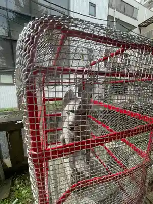 二ツ谷稲荷神社(神奈川県)