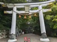 宝登山神社(埼玉県)