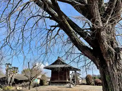 古泉馬頭観世音(栃木県)