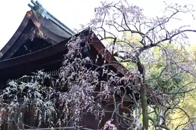 道明寺天満宮の{uncategorized: "未分類", other: "その他", undefined: "問題あり", building: "その他建物", grave: "お墓", sacred_gate: "鳥居", guardian: "狛犬", statue: "像", buddha: "仏像", history: "歴史", nature: "自然", garden: "庭園", animal: "動物", pagoda: "塔", temizu: "手水舎", mountain_gate: "山門・神門", sanctuary: "本殿・本堂", subordinate: "末社・摂社", art: "芸術", scenery: "景色", jizo: "地蔵", ema: "絵馬", goshuin: "御朱印", omikuji: "おみくじ", items: "授与品その他", amulet: "お守り", goshuincho: "御朱印帳", eats: "食事", festival: "お祭り", votive_dance: "神楽", shichigosan: "七五三参", wedding: "結婚式", experience: "体験その他", initially: "初詣", around: "周辺", anti_infection: "感染症対策"}