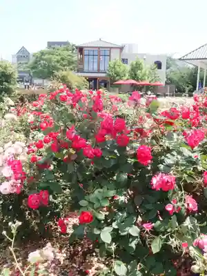 萬徳寺(神奈川県)