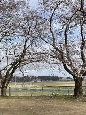 櫻井神社(新潟県)