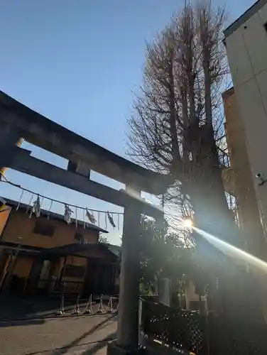 根岸八幡神社(神奈川県)