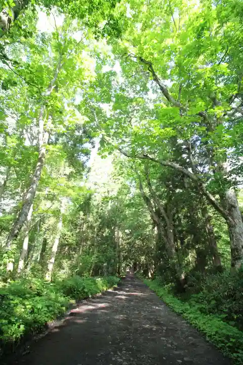 戸隠神社奥社の周辺